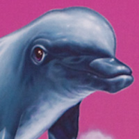 dolphin