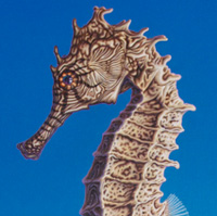 seahorse detail